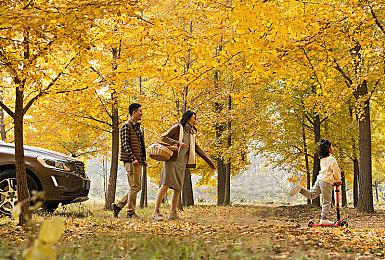 开发商CEO：《城市：天际线2》没支持Mod是最大的遗憾