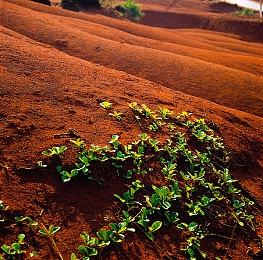 《零号奴隶X》现已登录STEAM 生物朋克风复古再现