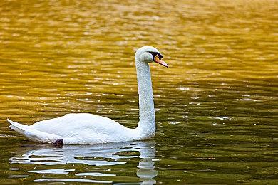 中国电信实现我国首次中轨道卫星极地4＆5G通信 网速超100Mbps